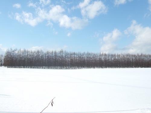 hokkaido.jpg